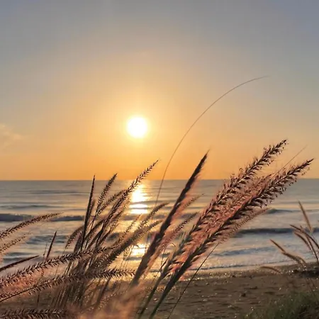 Estella Home, 1ª Linea, Magic World *